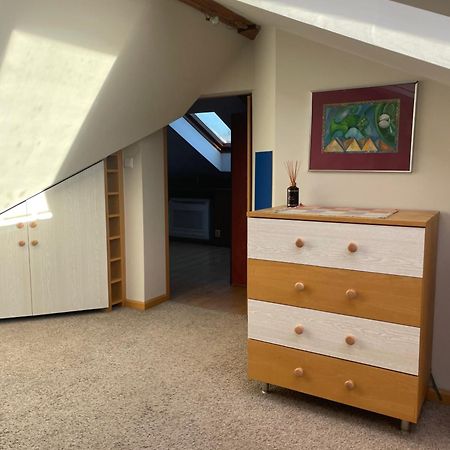 Olsza Residence Cozy & Quiet 2 Level Apartment Krasków Εξωτερικό φωτογραφία